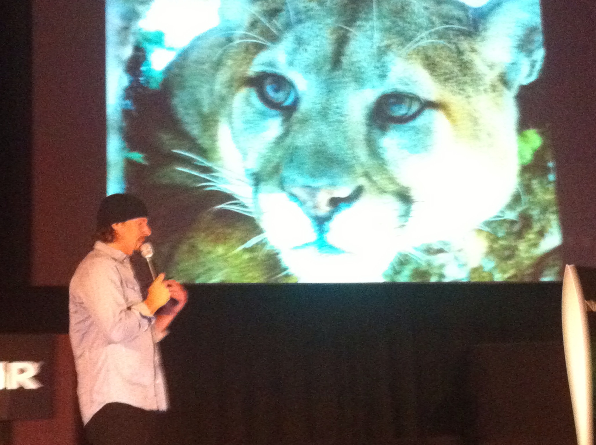 FLIR product showcase